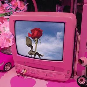 P$YCHO-花开时见（See u in spring） (ADD-X remix)