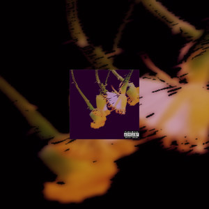 DontKnowHoe (Explicit)