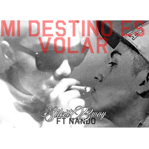 Mi Destino Es Volar