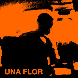 Una Flor