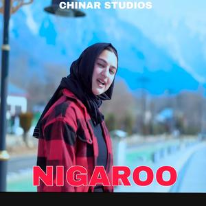 Nigaroo (feat. Mehar Nazir & Aatif Gulzar)