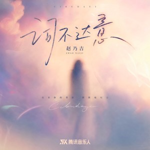 词不达意