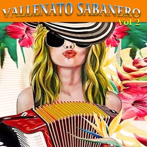 Vallenato Sabanero, Vol.2