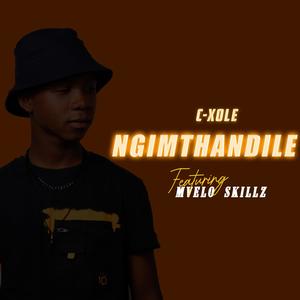 Ngimthandile (feat. Mvelo Skillz)