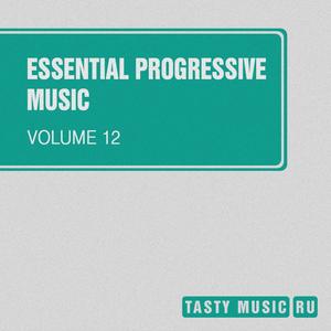 Essential Progressive Music, Vol. 12