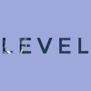 Level