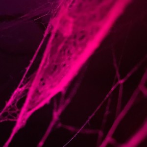 Webbing (Explicit)