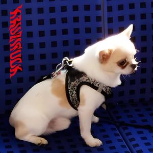 Kruzi - Krass? (feat. Kataro & Lokka) (Explicit)