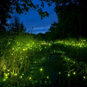 那个女人 - 宫商角徵羽 (宝宝助眠版)