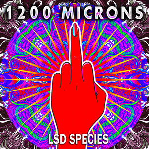 LSD Species