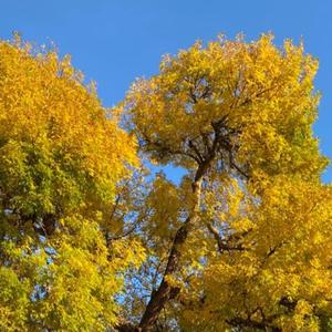 I Don't Say Jawn (Explicit)