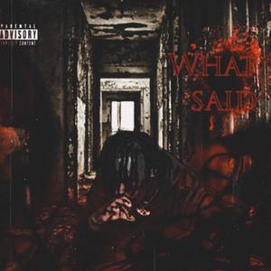 WHAT I SAID (Explicit)