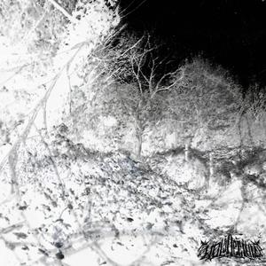 IPOCRISIA (feat. mánagarmr & behrit|Explicit)