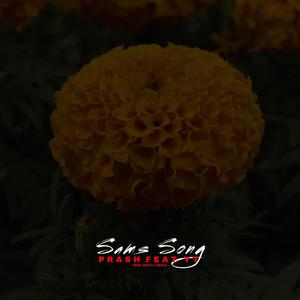 Sam's Song (feat. Y.T. & Heavy L Beatz) (Explicit)
