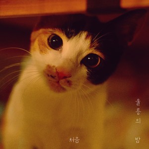 울릉의 밤 (sad night in ulleung) (郁龙之夜)