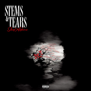 Stems & Tears (Explicit)