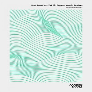 Dust Secret (Zak Air Remix)