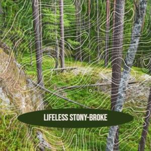 Lifeless Stony-Broke