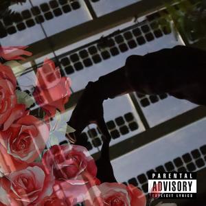 Roses (Explicit)