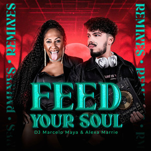Feed Your Soul (Shakers Remix)