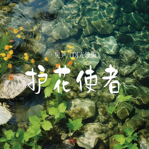 护花使者 (DJ光波版伴奏)