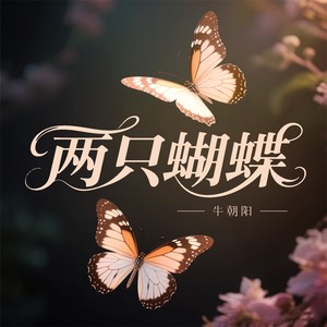 两只蝴蝶