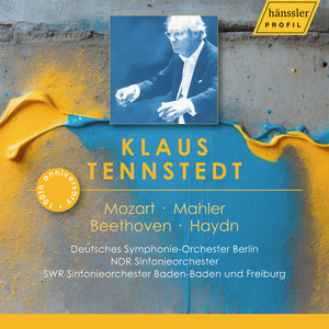 Sinfonia Concertante K320e - Sinfonia Concertante K320e