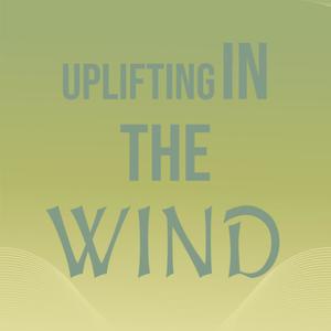 Uplifting In The Wind