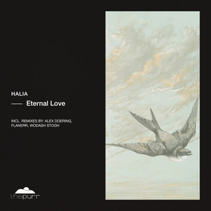Eternal Love (Alex Doering Remix)
