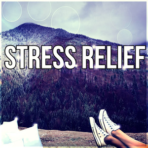 Stress Relief - Background Music for Stress Relief, Relaxation Music for Inner Peace, Time to Chill Out