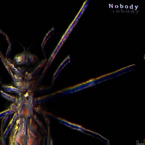 Nobody