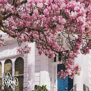 Walk Alone And Never Love