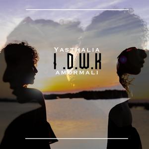 I.D.W.K.(feat. Amormali)