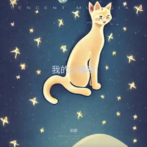 我的小猫咪