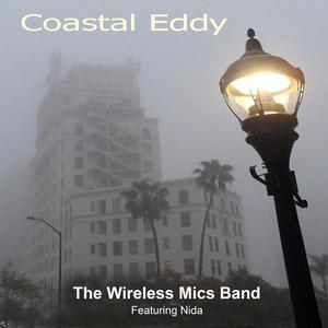 Coastal Eddy