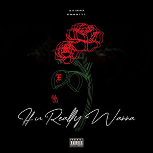 If U Really Wanna (Explicit)