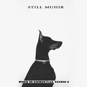Still Muhib (feat. Kashan Seth)
