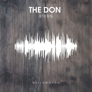 The Don (Original Mix)