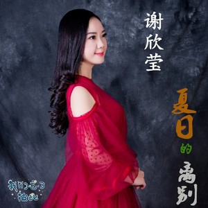 夏日的离别 (DJ版)