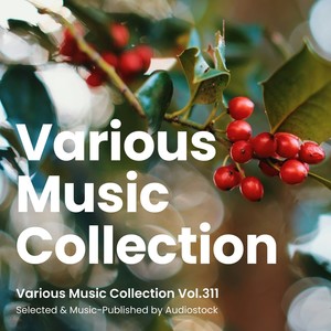 Various Music Collection Vol.311 -Selected & Music-Published by Audiostock-
