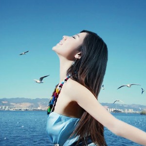 虫儿飞