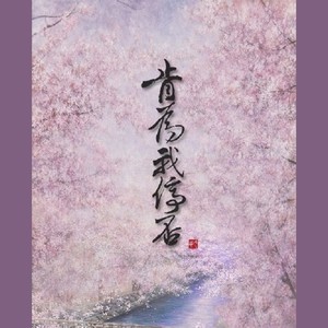 朱强 - 肯为我停否