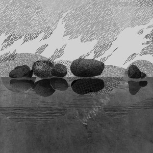 Hidden Paths, Animal Tracks