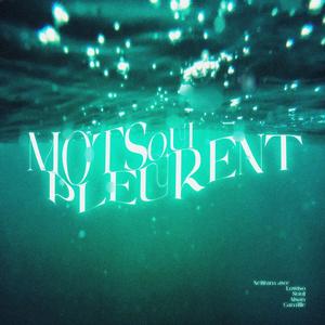 Mots qui pleurent (feat. Lowtso, Aisan & Suul)