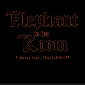 Elephant In The Room (Explicit)