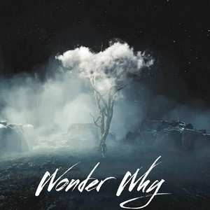 Wonder Why (Explicit)