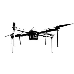 Ghetto Destruction Bird