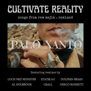 CULTIVATE REALITY . songs from raw majik . remixed (Explicit)