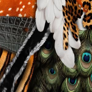 Animales Vivos (feat. Thony) (Explicit)