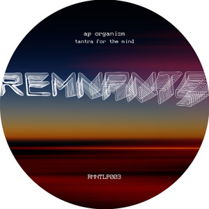 Bat Symphony 1 - Bats Abound